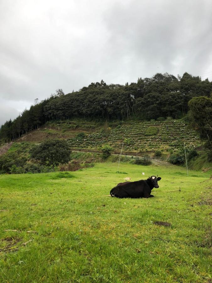 Premium Holiday Cabin - Spectacular Tungurahua Volcano View Baños Exterior foto